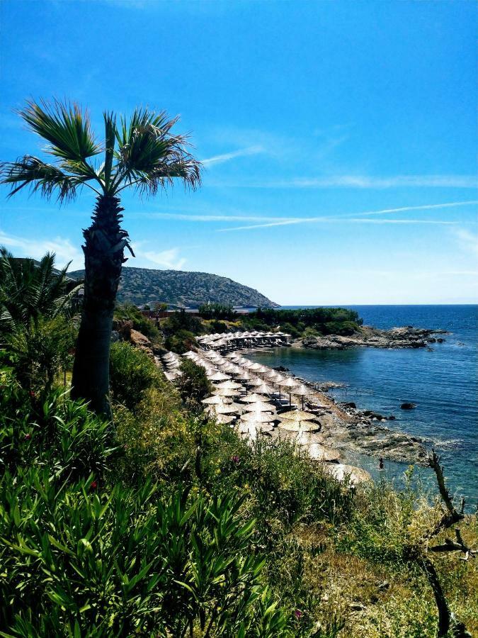 New Seafront Studio Affittacamere Anavyssos Esterno foto